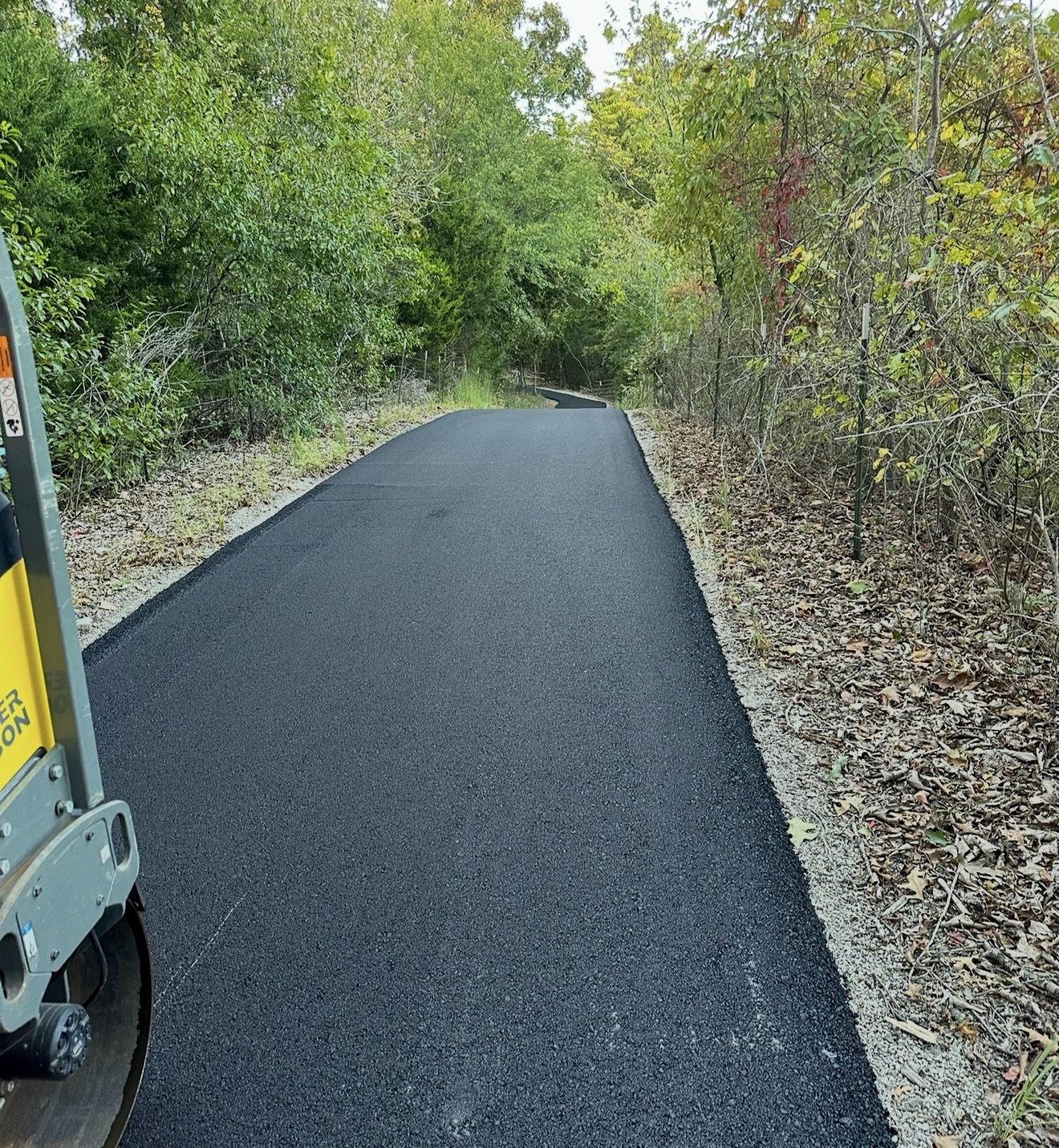 Freshly paved residential asphalt path cut through the tree line